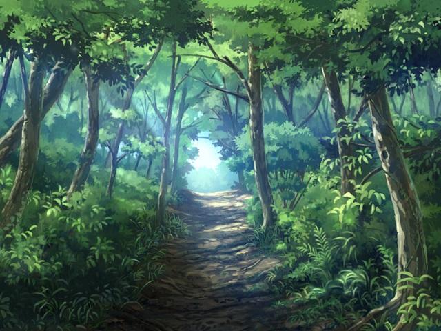 森の道
